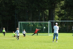 img00006