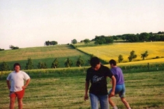 img317