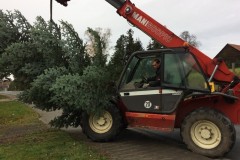 Weihnachtsbaum 2016