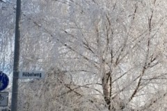 20211221_103359