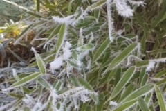 20211221_113628