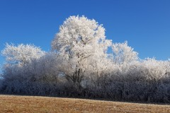 20211221_115638