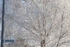 20211221_183819